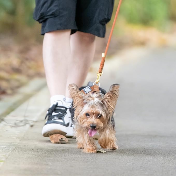 Durable Handwoven Dog Leash for Small & Medium Dogs, 5/16 inch Rope Lead with Anti-Tangle Swivel Clip, Soft & Lightweight, 5FT Long – Ideal for Daily Walking & Training (Carmel Brown)