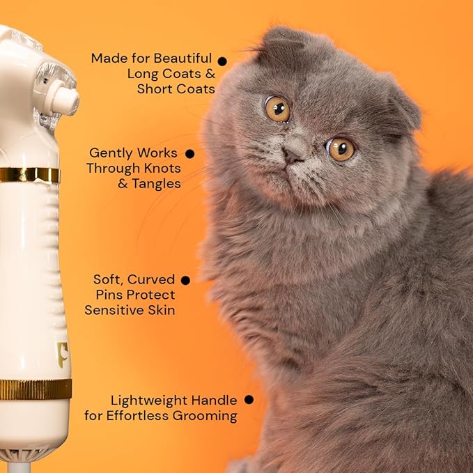 Pet Steam Brush Grooming Dryer for Dogs & Cats – 3-in-1 Grooming Tool with Gentle Steam, Low Noise 600W Motor, Deshedding, Drying & Fur Fluffing for All Coat Types