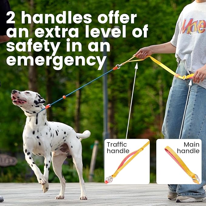HowGo Slip Lead Dog Leash with Double Handles | Reflective Dog Training Leash with 360° Swivel Anti-Tangle | Heavy-Duty Lead and Collar for Large Medium and Small, No-Pull Walking (Brown, 5.5FT)