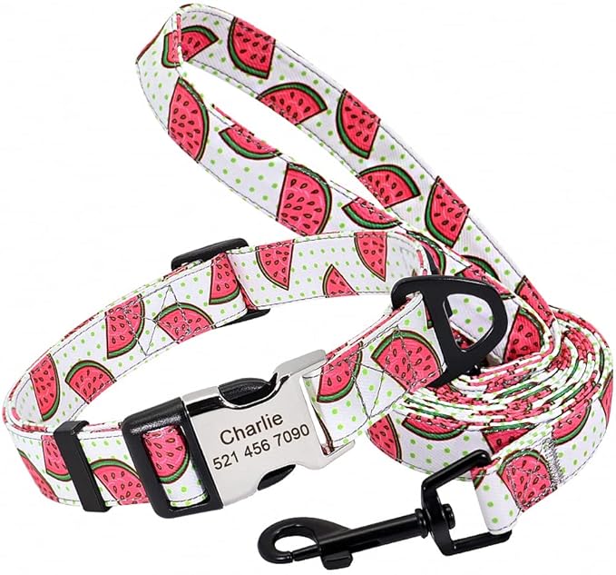 Cute Custom Dog Collar Leash Personalized Fruit Print Nylon Dog Collar Lead Engraved Name ID for Small Medium Large Dog Pitbull 159 White Set S