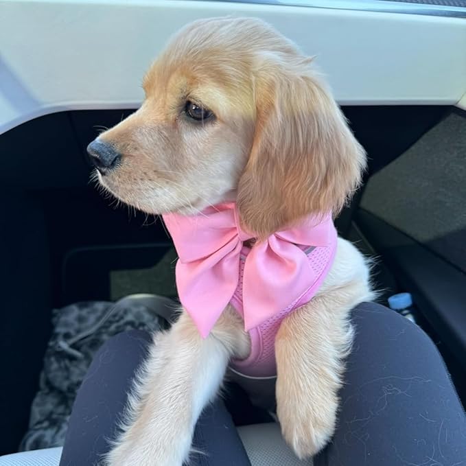 Maca Bates Cherry Pink Dog Collar with Cute Solid Sailor Bow Tie for Extra Small Girl Boy Dogs,Girly Adjustbale Durable Breakaway Soft Collars with Bowtie for Female Male Puppy,Pet with Metal Buckle