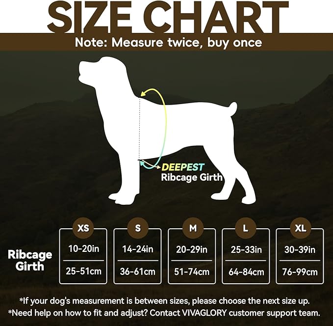 VIVAGLORY Dog Harness Easewalk No Pull Dog Harness with Handle Front Clip & Back Clip for Training Walking Lifting, No Pull Adjustable Easy On Padded Comfortable for Pet, M, Bright Yellow - Plain
