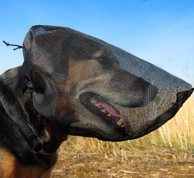 Out Fox Field Guard Size S - Vet-Recommended Dog Safety Mask for Foxtails, Grass Seeds, Bugs and Debris | Breathable, Lightweight, Patented Design | Multiple Sizes