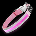 PetIsay LED Dog Collar Metal Buckle - Heavy Duty Light up Collars - Rechargeable IP68 Waterproof - Lighted Dog Collar for Night Walking, Hiking, Camping (Small, Pink)