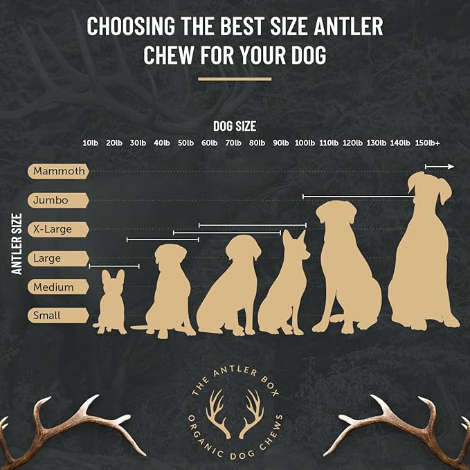 The Antler Box Premium Elk Antler Dog Chews (1 Pound Box) (Large (3 Pieces) Split Only)