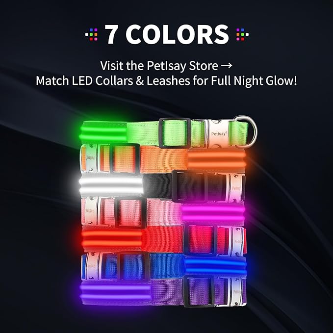 LED Dog Collar with Metal Buckle - USB Rechargeable Glow Collar for Dogs, Waterproof Light Up Dog Collar w/Reflective Strips - Adjustable Night Safety Collars by PetIsay(Blue,Large)