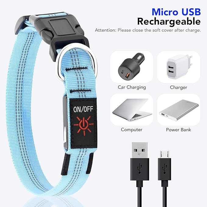 Weesiber Light Up Dog Collars - Rechargeable LED Collar - Reflective Adjustable Dog Lights for Night Walking (Blue, Small)
