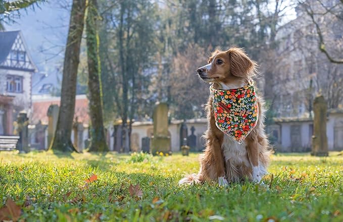 Lionheart glory Dog Bandana 1 Pack Washable Soft Cotton Daisy Print Bibs Scarf, Adjustable Kerchief Square Dog Bandanas for Small Dogs
