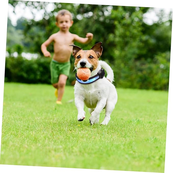 Solar Powered Dog Collar Led Collar Light Rechargeable Night for Puppy