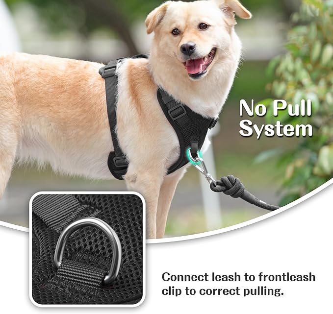 No Pull Dog Harness for Small Medium Large Dogs - Adjustable 2 Layer Mesh Dog Vest with Dual Clip, Escape Proof, Quick Release, Lightweight Breathable Mesh for Walking Hiking (Black,L)
