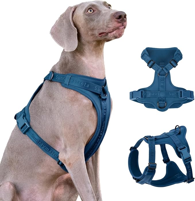 No Pull Dog Harness with Lycra, Three-Point Force Dispersion & 3D Padding, Adjustable Breathable Mesh for Small Medium Large Dogs(Prussian Blue,XS)
