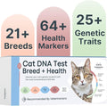 Basepaws Cat DNA Test Kit - Comprehensive Breed, Health and Dental Analysis Across 114 Traits for Accurate and Easy-to-Use Genetic Insights