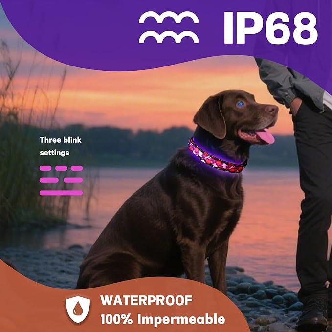 DOGWONG LED Dog Collar - Halloween Light up Dog Collars - Rechargeable Waterproof - Fall Lighted Dog Collars for Night Walking, Hiking, Camping