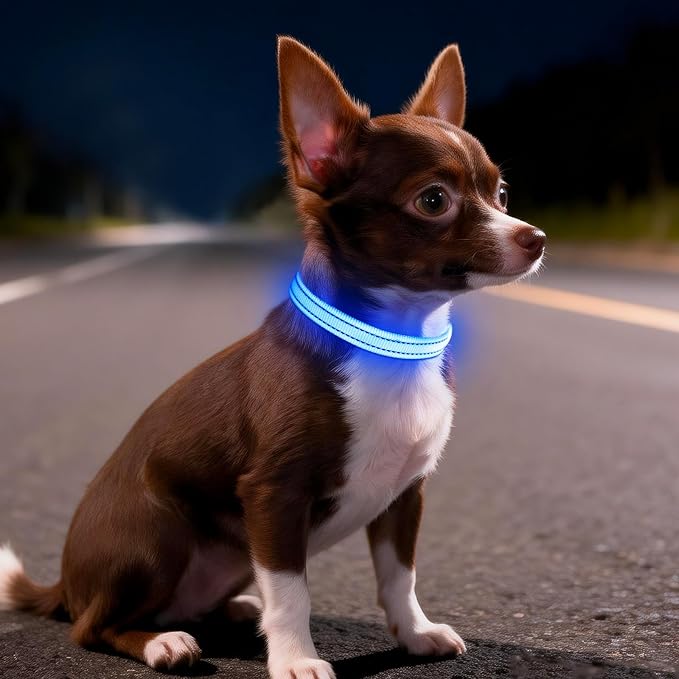 Light Up Dog Collar for Small Dogs, LED Dog Collar Rechargeable Safety Dog Lights, Fully Adjustable Glow in The Dark Dog Collar Light for Night Walking & Camping (X-Small, Blue)