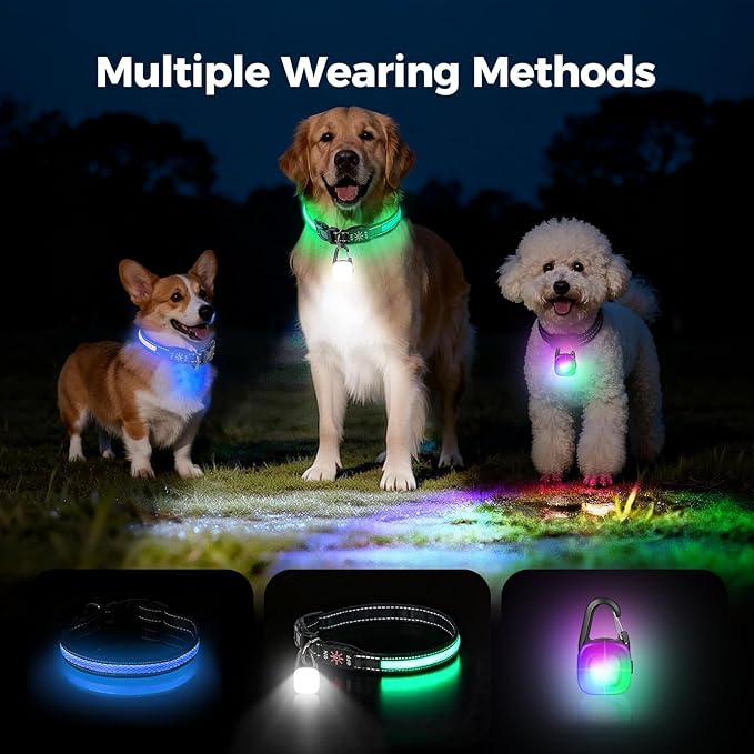 Light Up Dog Collar with Dogs Light Set, Adjustable USB Rechargeable LED Dog Collar Light for Night Walking for Small Medium Large Pet