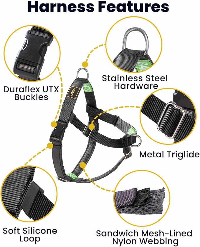 Freedom No Pull Dog Harness, Front Clip, Easy Walk, Dog Friendly with 2 Stainless D-Rings, Sewn-in Instructions Tags for Easy Use, for Large Dogs Weight 60-85 lbs (Black, L)