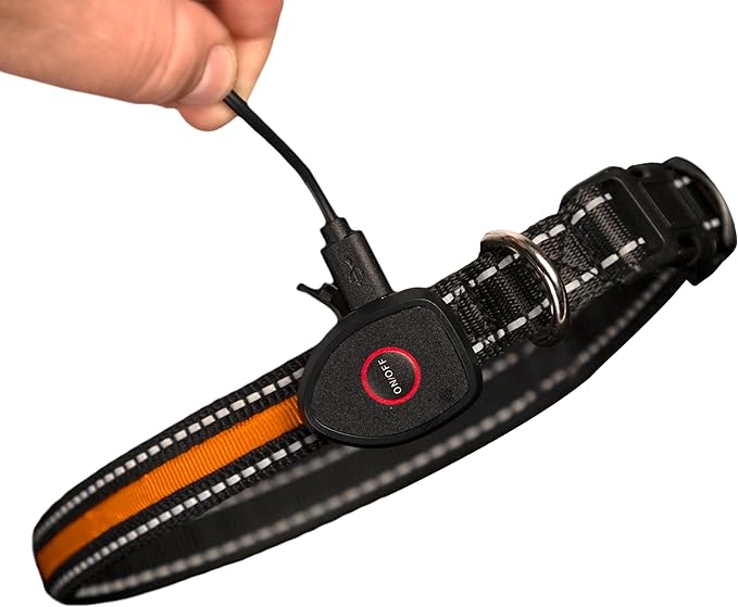 Sherry Kline LED Light-Up Pet Collar - USB Rechargeable - Flashing Glow in The Dark Size Medium, Color: Orange