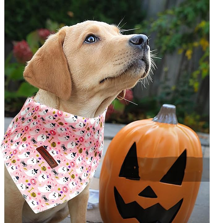 Lionheart Glory Fall Plaid Dog Scarf, Washable Square Adjustable Bandana for Small Dogs - Halloween Theme