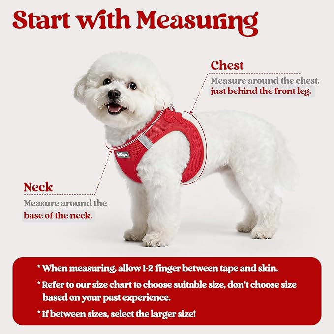 rabbitgoo Dog Harness Small Sized and Leash Set, Step in Soft Light Puppy Vest, Breathable Mesh Pet Harness, Reflective for Outdoor Safe Walking, Red XXL