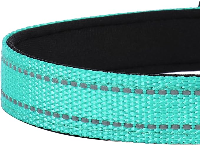 Reflective Dog Collar, Adjustable Soft Neoprene Padded Nylon Pet Collars with Buckle for Medium Dogs, Turquoise,M