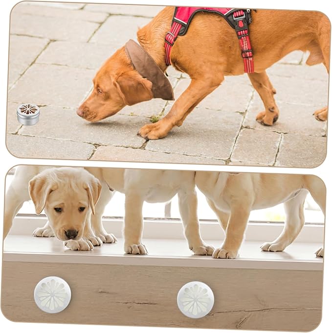 BESPORTBLE Dog Agility Training Tools Scent Training Cases Magnetic Dots Dog Toy Storage for