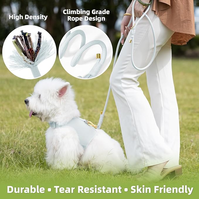 Durable Handwoven Dog Leash for Small & Medium Dogs, 5/16 inch Rope Lead with Anti-Tangle Swivel Clip, Soft & Lightweight, 5FT Long – Ideal for Daily Walking & Training (Light Blue)
