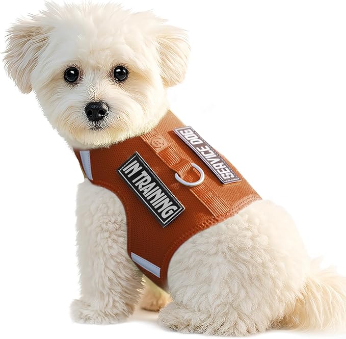Dog Harness for Puppy – Adjustable Reflective Easy Put On Soft Mesh Vest for Small Dogs with 2 Patches (Carmel Brown,L)
