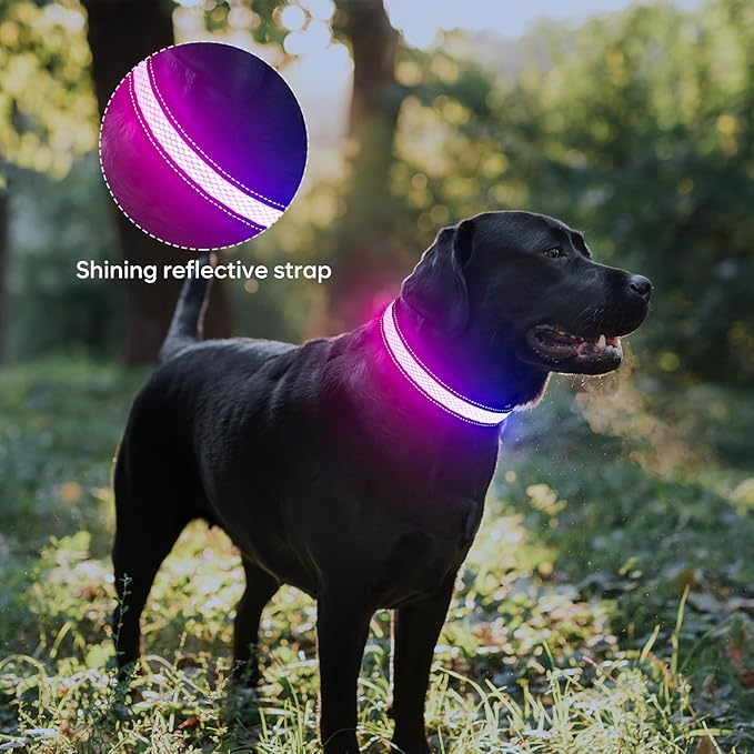 Weesiber Light Up Dog Collar, USB Rechargeable LED Dog Collar Glow in The Dark, Adjustable Reflective Waterproof Dog Collar Light for Night Walking (RGB, M)