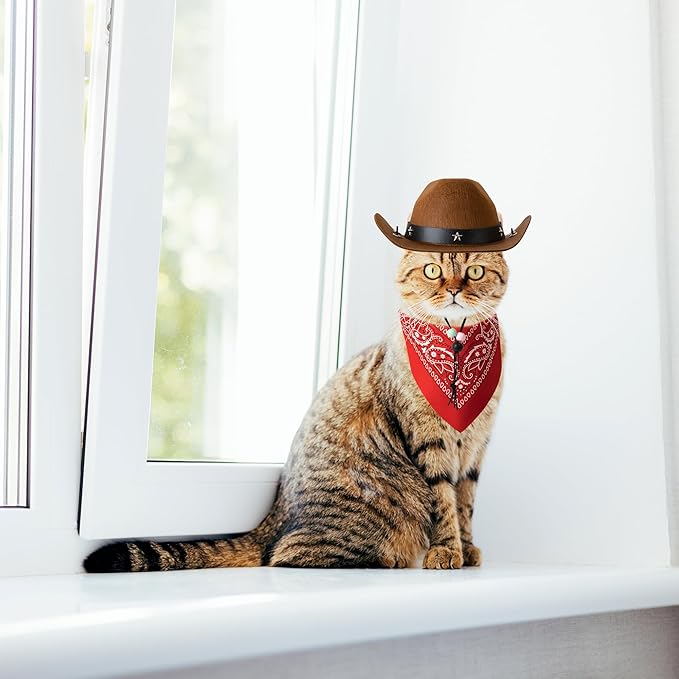 Dog Halloween Costumes, Dog Cowboy Costume Pet Cowboy Hat with Bandana Scarf Cowboy Costume for Small Medium Large Dogs (Small)