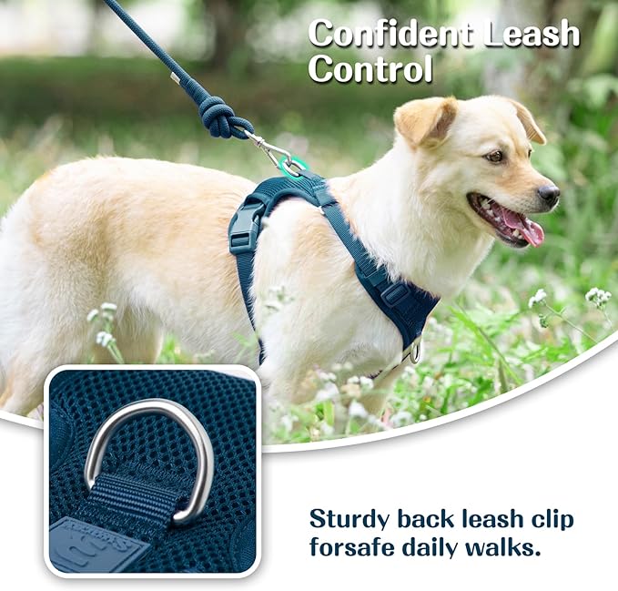 No Pull Dog Harness for Small Medium Large Dogs - Adjustable 2 Layer Mesh Dog Vest with Dual Clip, Escape Proof, Quick Release, Lightweight Breathable Mesh for Walking Hiking (Prussian Blue,S)