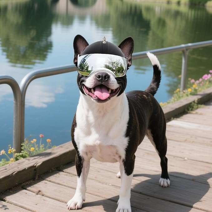PETLESO Dog Helmet with Anti-UV Silver Goggles, Small Dog Motorcycle Helmet with Ear Holes, Drop-Down Biking Helmet, Adjustable Hat for Small Dogs Heads Protection with Rivets, Silver Lens