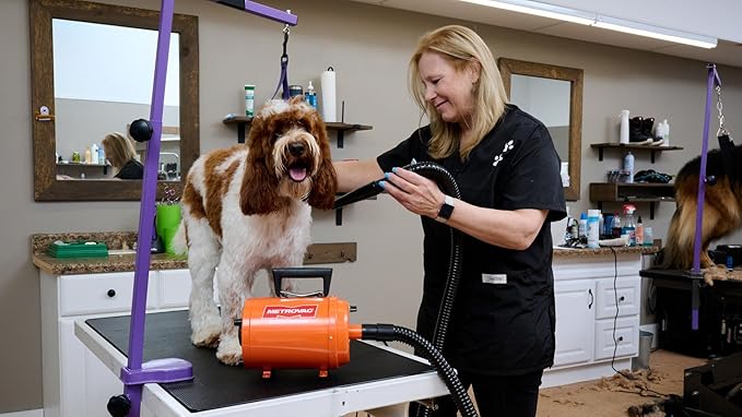 METROVAC - Air Force Commander 2 Speed Model: AFTD-1 802 Watts - Dog & Cat Hair Blow/Dryer - Air Dryer for Long and Short Hair - Orange