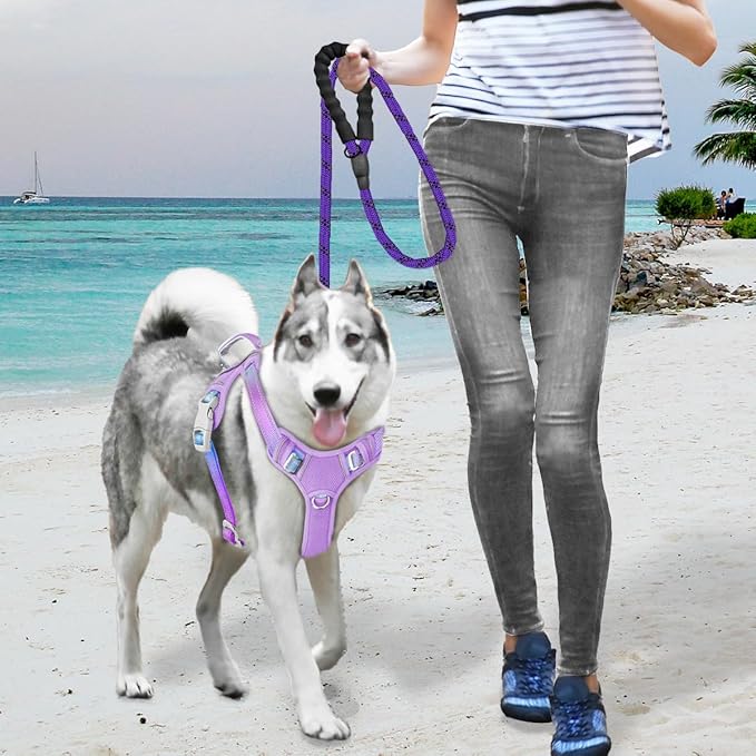 BARKBAY No Pull Dog Harness Large Reflective Dog Harness with Front Clip and Easy Control Handle for Walking Training Running with ID tag Pocket(Lavender Sky,XL)