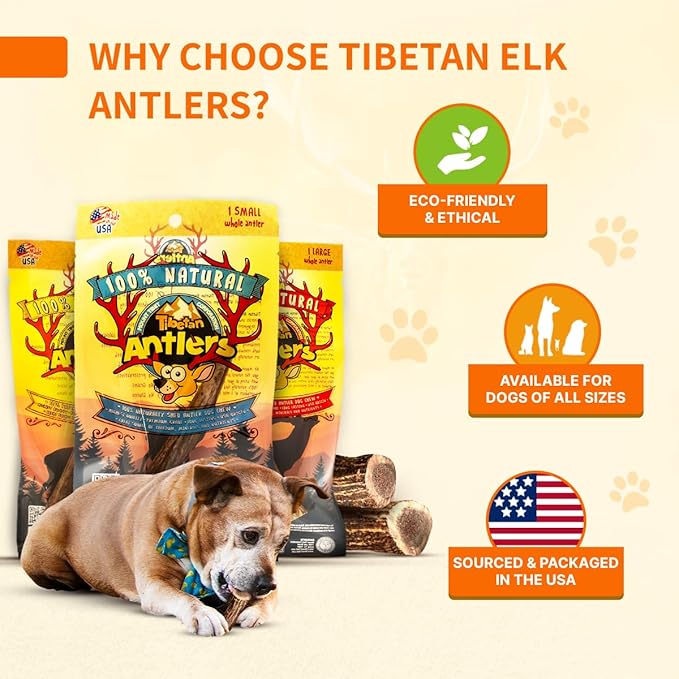 Tibetan Elk Antler for Jumbo Dogs, Grade-A, Premium Chews, Naturally shed Healthy & Longer Lasting Aggressive chewers, USA Product Antler (Split)