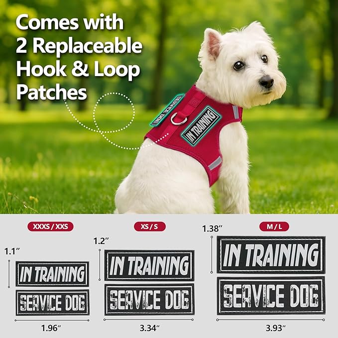 Dog Harness for Puppy – Adjustable Reflective Easy Put On Soft Mesh Vest for Small Dogs with 2 Patches (Burgundy Red,S)