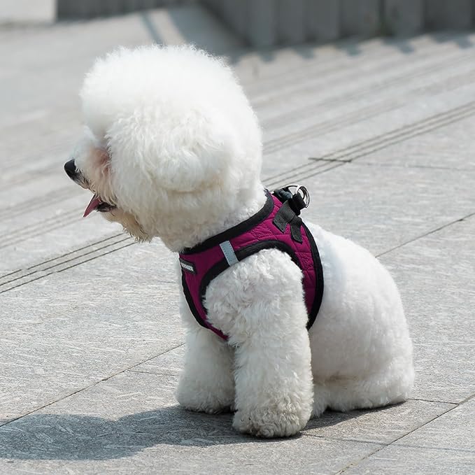Best Pet Supplies - All Weather Plush, Reflective, No Pull Harness for Small, Medium Dogs, Cats - Secure with Hook & Loop Fastener, Buckle, Double D-Rings - Red Rose Plush, XL