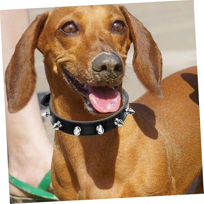 Rivet Dog Collar Adjustable Leather Studded Collar 2.0cm Wide Sturdy Black Medium Size for Small Dogs and Cats Training and Walking