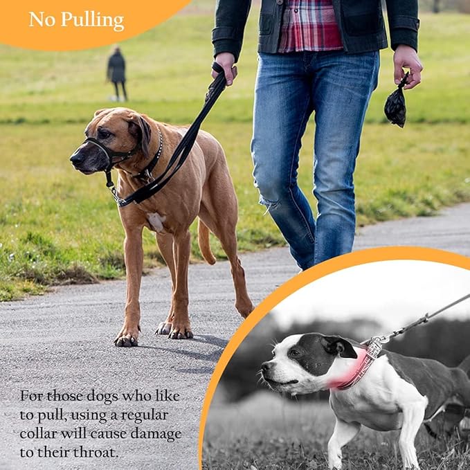 BARKLESS Head Collar for Dogs, No Pull Dog Nose Leash for Small Medium and Large Dogs, Dog Head Halter That Prevent Pulling for Easy Control on Walks (M (Snout 6 ¾-8 ¾"), Black)
