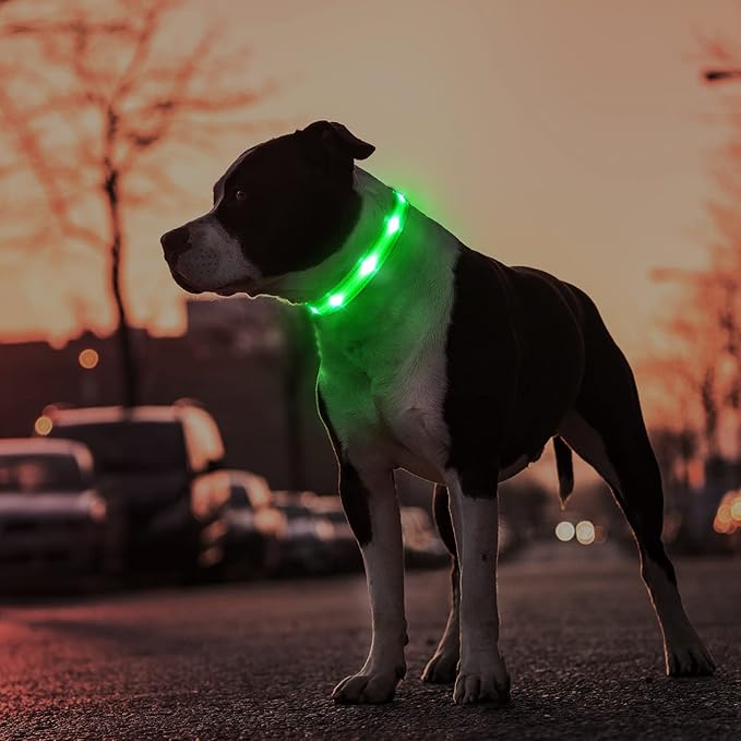 MASBRILL Led Dog Collar, Rechargeable Water-Resistant Night Safety Collar