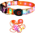 Light Up Dog Collar, LED Dog Collar Glow in The Dark - USBC Rechargeable, 3 Flashing Modes Adjustable Glow Collar, Safety Fashionable Cute Dog Light Up Collars for Medium Large Dogs Orange