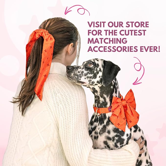 LunaMarie - Luxury Pet Birthday Bandanas -Premium & Silky Poly Fabric | 100% Handmade | Custom Shape Dual Layered (Pawsport Club, X-Small)