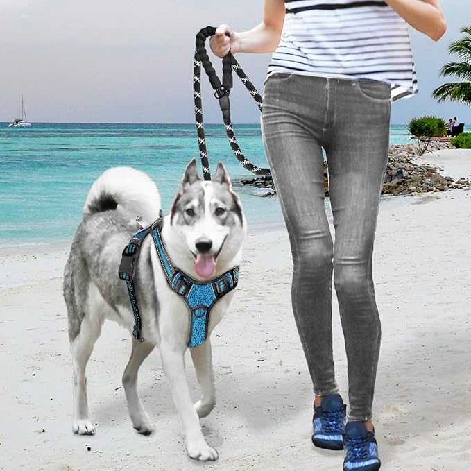 BARKBAY No Pull Dog Harness Large Step in Reflective Dog Harness with Front Clip and Easy Control Handle for Walking Training Running with ID tag Pocke(Blue/Black,M
