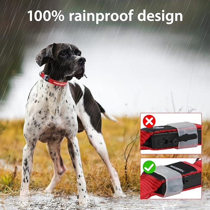 MASBRILL Led Dog Collar, Rechargeable Water-Resistant Lighted Flashing Glowing Night Safety Collar