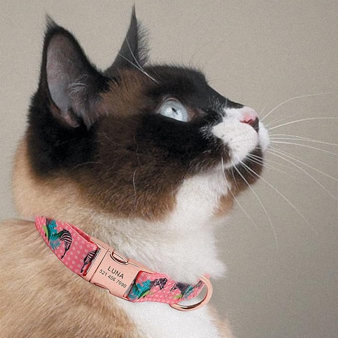 Personalized Dog Collar Custom Puppy Pet Collar Pitbull Collars Pets Acessorios Products Small Dog Collar for Medium Large Pet Pink L