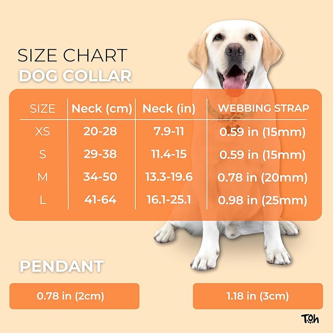 Adjustable Dog Collar with ID Tag – Soft Polyester, Quick Release Buckle – Durable, Waterproof, Cute Dog Collar – Puppy Collar, Stylish Pet Accessories (Lilac, XSmall)