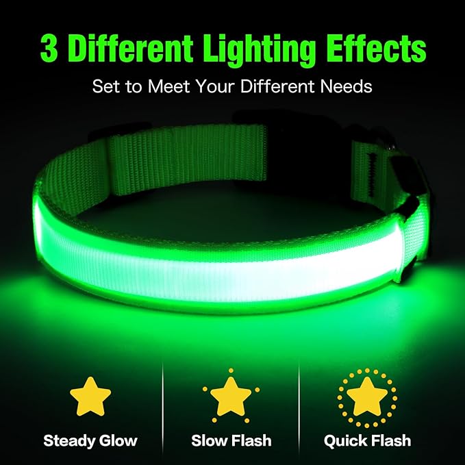 Illumifun LED Dog Collar, USB Rechargeable Light Up Dog Collar Glow in The Dark (Green, Medium)