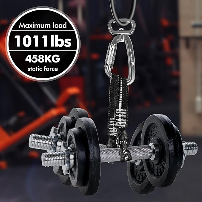 Locking Carabiner Clip 2.5" with Swivel Ring for Securing Pets, Dog Leash Harness, Camping, Hiking, Keychains