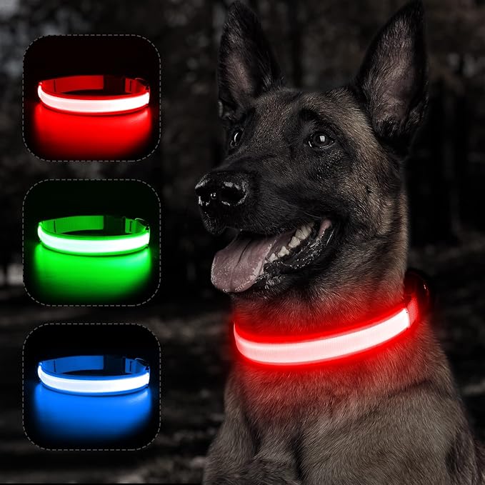 BSEEN Light Up Dog Collar, Rechargeable LED Puppy Collar Reflective Pet Collar Water-Resistant Dog Camping Gear Glowing Dog Lights for Night Walking (Ruby Red, Small)