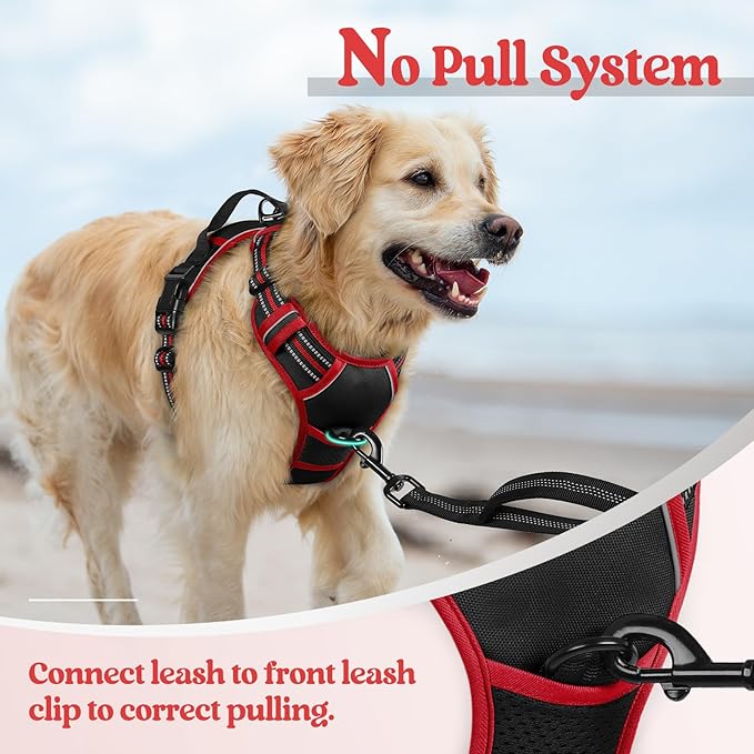 rabbitgoo Dog Harness No Pull with 2 Leash Clips, Adjustable Soft Padded, Reflective Oxford No Choke Pet Vest with Easy Control Handle for Medium Sized Dogs, Black & Red, M