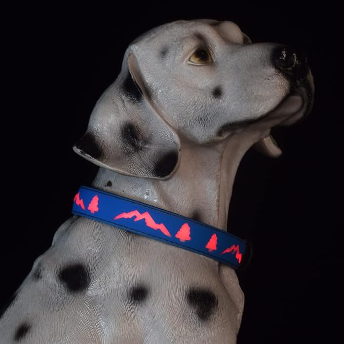 LED Dog Collar, 15 Light Modes, USB-C Rechargeable, Silicone Material, Adjustable Size, (Blue, S(7.87-11.8"))